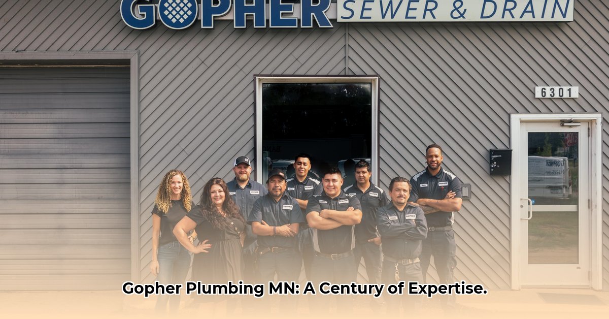 gopher-plumbing-mn